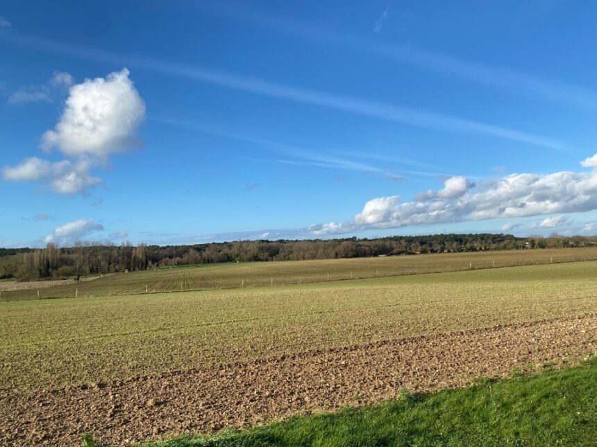 Terrain à bâtir à Meschers-sur-Gironde (17132)