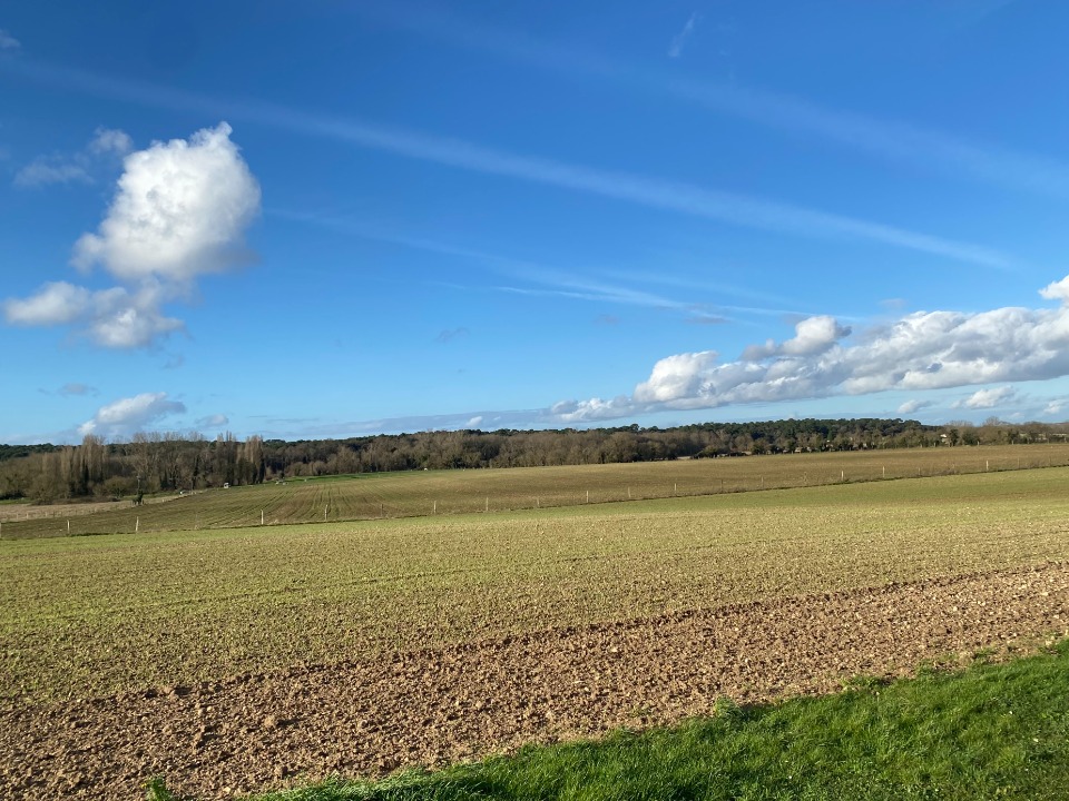 Terrain à bâtir à Meschers-sur-Gironde (17132)