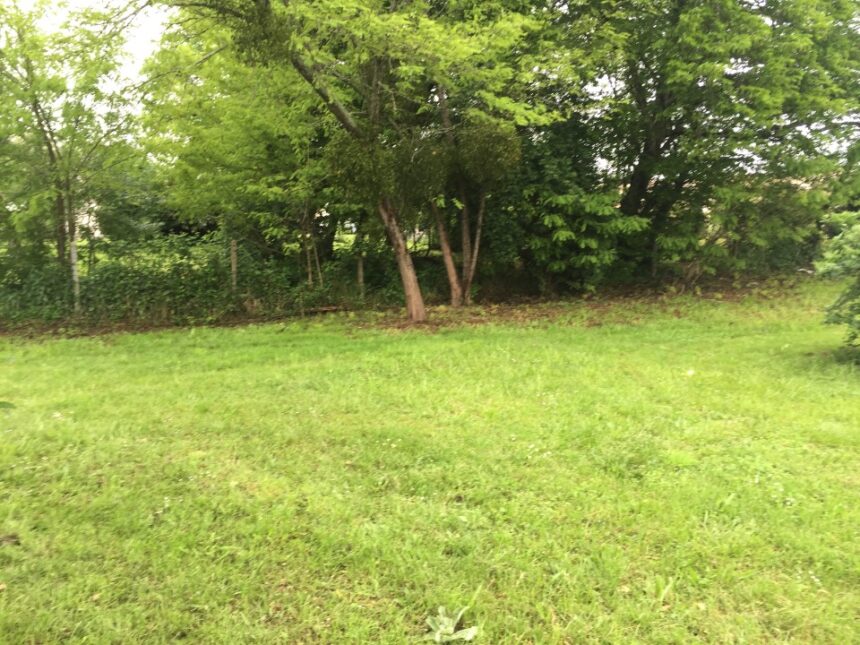 Terrain à bâtir à Portets (33640)