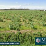 Terrain à bâtir à Onard (40380)