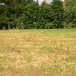 Maison à construire à Libourne (33500)