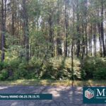 Terrain à bâtir à Sanguinet (40460)