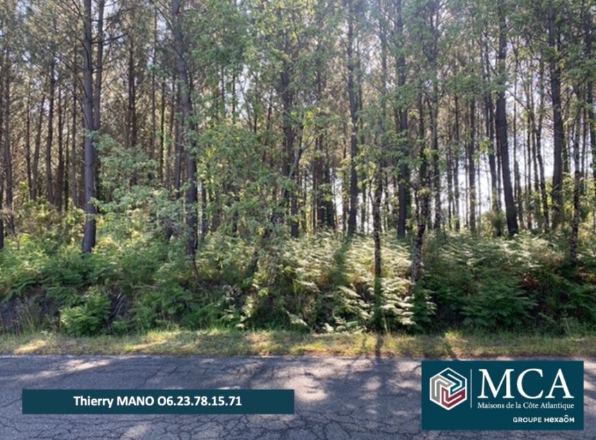 Terrain à bâtir à Sanguinet (40460)