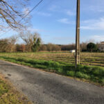 Maison à construire à Saint-Savin (33920)