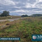 Maison à construire à Carcarès-Sainte-Croix (40400)