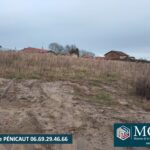 Maison à construire à Rivière-Saas-et-Gourby (40180)