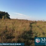 Maison à construire à Préchacq-les-Bains (40465)