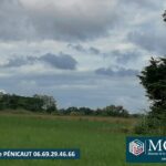 Maison à construire à Clermont (40180)