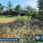 Maison à construire à Narrosse (40180)