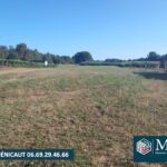 Maison à construire à Sort-en-Chalosse (40180)