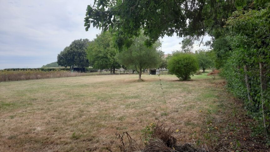 Maison à construire à Le Barp (33114)