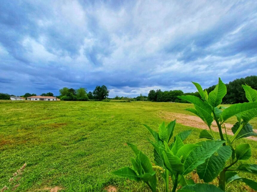 Maison à construire à Villenave-d’Ornon (33140)