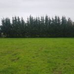 Maison à construire à Périssac (33240)