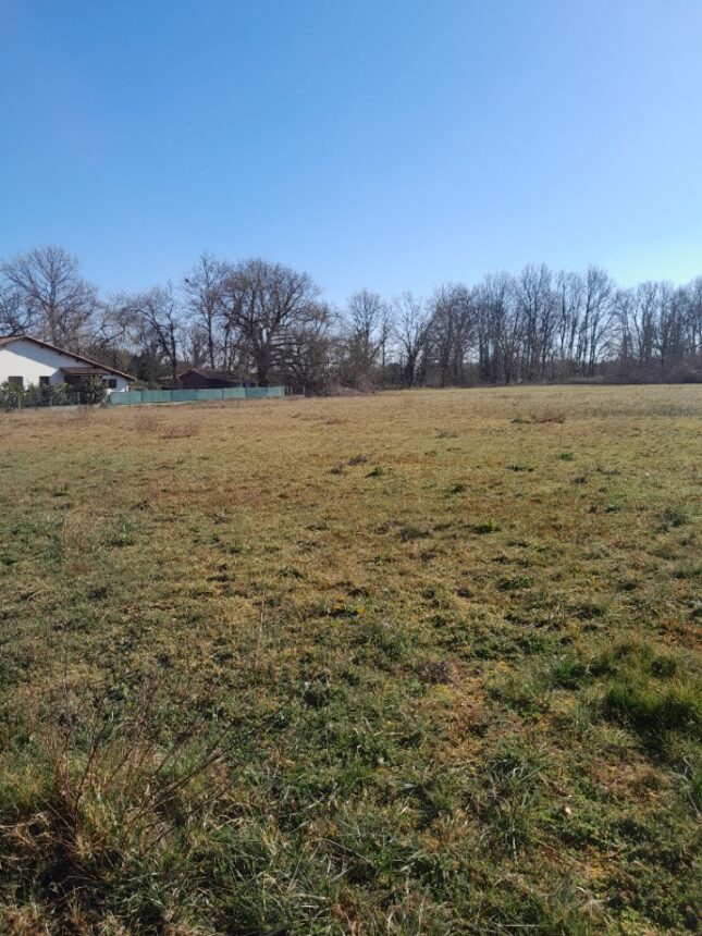 Terrain à bâtir à Arsac (33460)