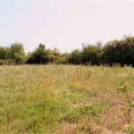 Maison à construire à Brach (33480)