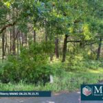 Maison à construire à Sanguinet (40460)