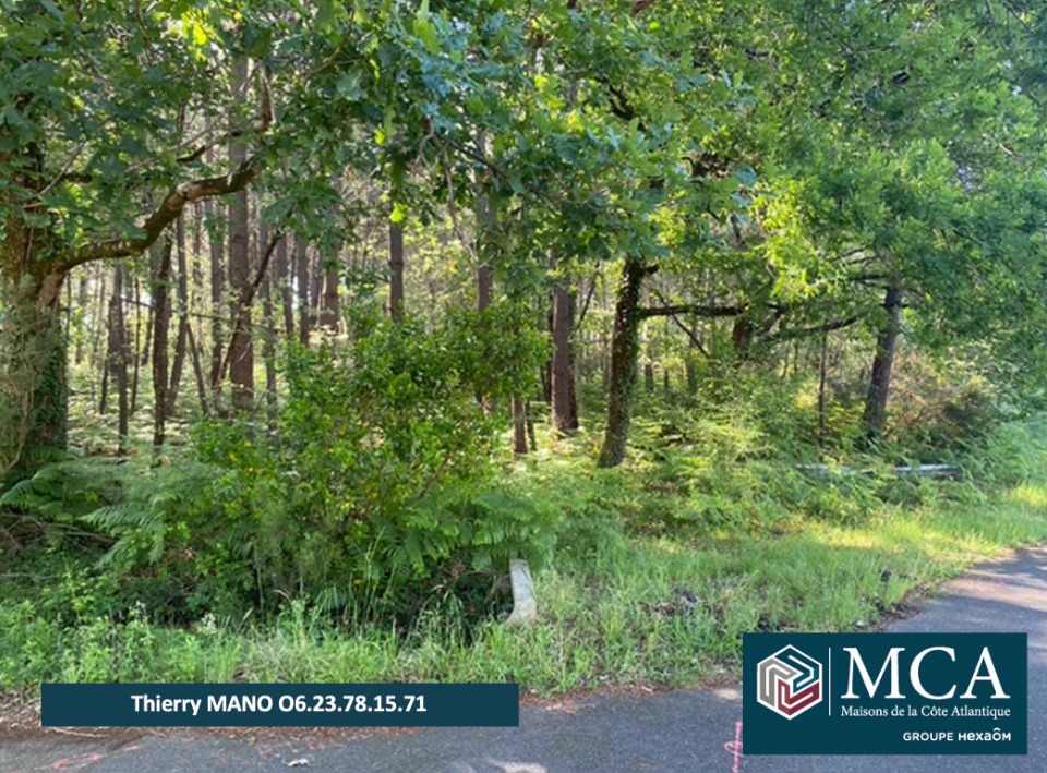 Terrain à bâtir à Sanguinet (40460)