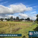 Maison à construire à Seignosse (40510)