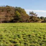 Maison à construire à Grignols (33690)