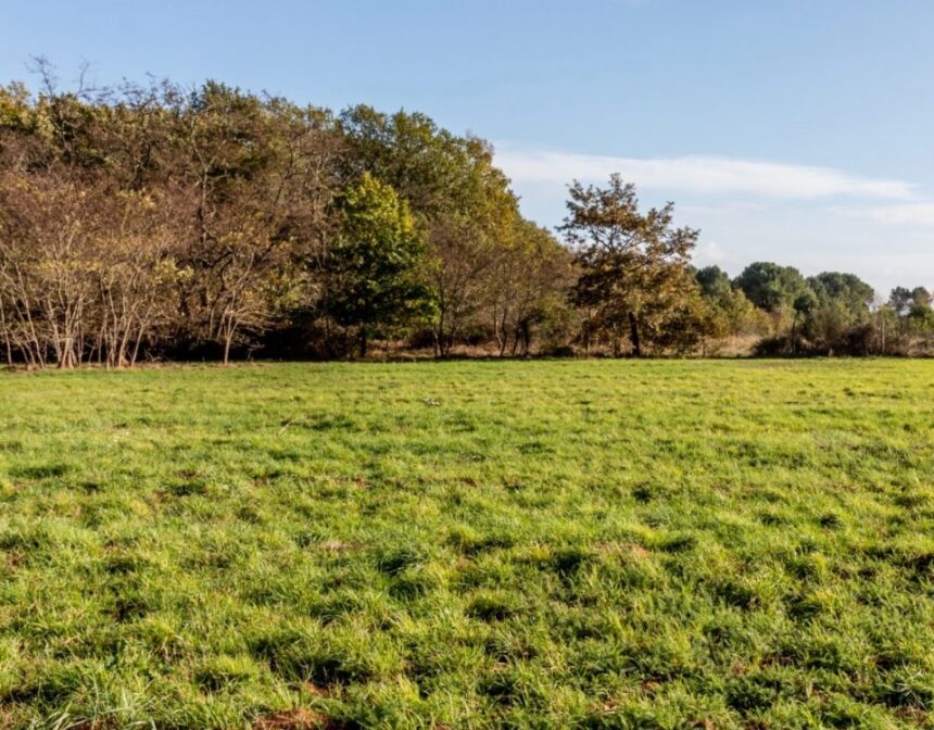Maison à construire à Grignols (33690)