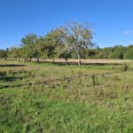 Maison à construire à Saint-Philippe-du-Seignal (33220)