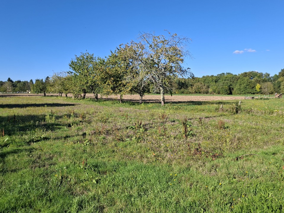 Terrain à bâtir à Saint-Philippe-du-Seignal (33220)