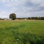 Maison à construire à Tocane-Saint-Apre (24350)