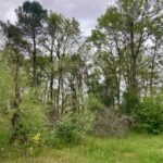 Maison à construire à Hourtin (33990)