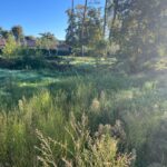 Maison à construire à Saint-Aubin-de-Médoc (33160)