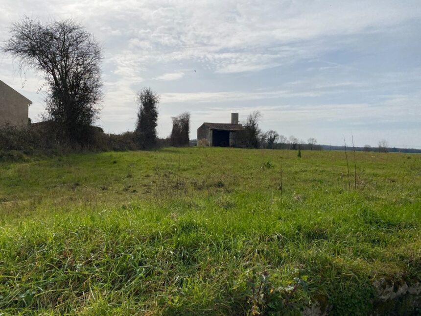 Terrain à bâtir à Plassay (17250)