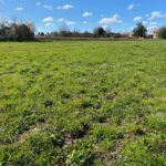 Terrain à bâtir à Brizambourg (17770)