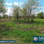 Terrain à bâtir à Aureilhan (40200)