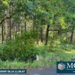 Terrain à bâtir à Sanguinet (40460)