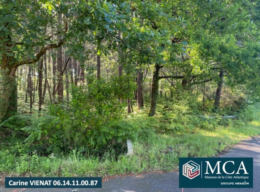 Terrain à bâtir à Sanguinet (40460)