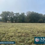 Terrain à bâtir à Labastide-d’Armagnac (40240)