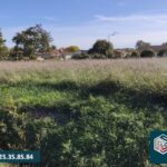 Terrain à bâtir à Saint-Perdon (40090)