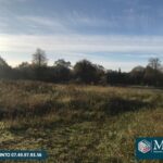 Terrain à bâtir à Labrit (40420)