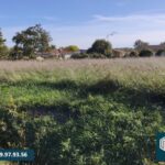 Maison à construire à Saint-Perdon (40090)