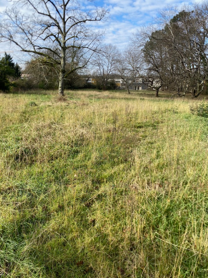 Terrain à bâtir à Le Taillan-Médoc (33320)