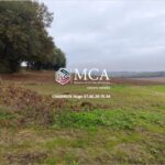 Maison à construire à Calignac (47600)