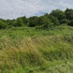 Terrain à bâtir à Saint-Savin (33920)