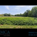 Terrain à bâtir à Saint-Christoly-de-Blaye (33920)