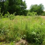Maison à construire à Le Taillan-Médoc (33320)