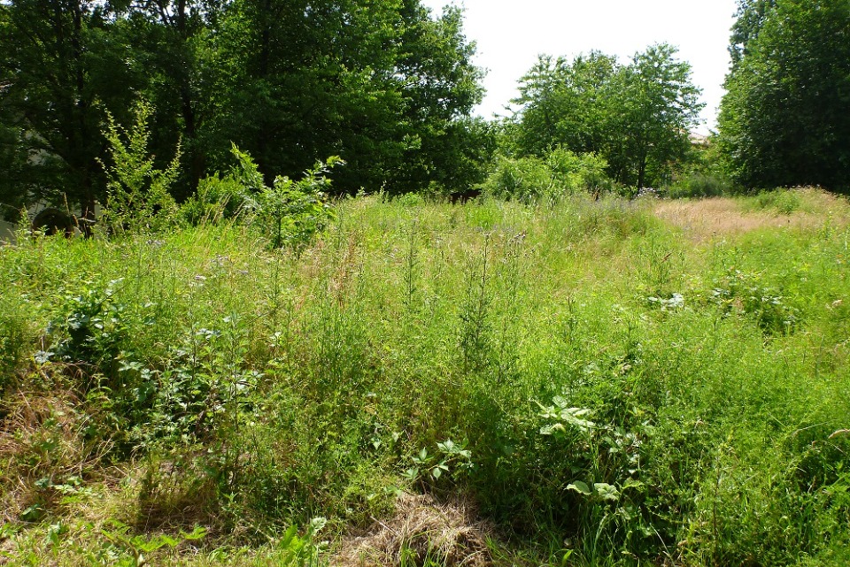 Terrain à bâtir à Margaux (33460)