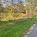 Maison à construire à Margaux (33460)