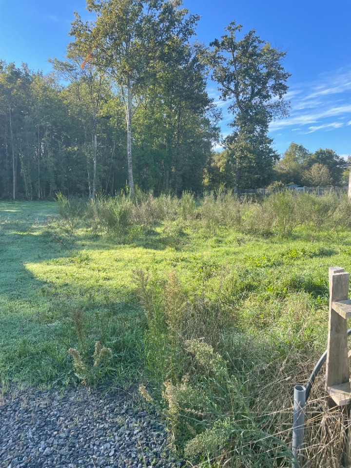 Terrain à bâtir à Le Pian-Médoc (33290)