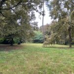 Maison à construire à Gujan-Mestras (33470)