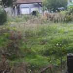 Maison à construire à Lugos (33830)