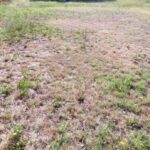 Maison à construire à Le Teich (33470)