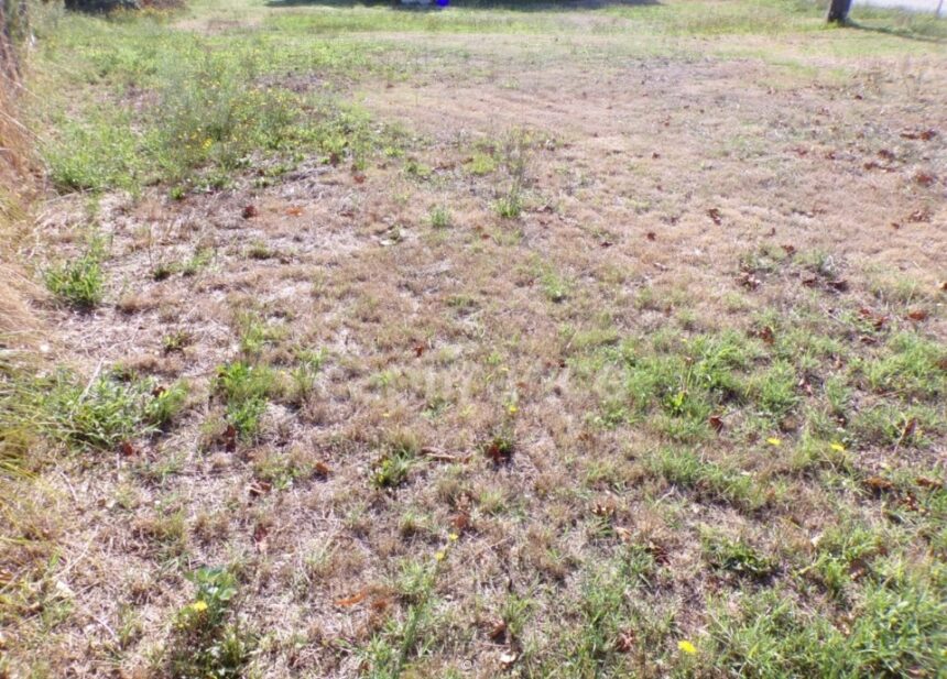 Terrain à bâtir à Le Teich (33470)